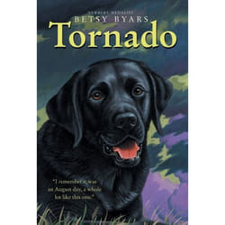 ISBN Tornado livre