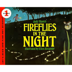 ISBN Fireflies in the Night, Livre broché, 32 pages