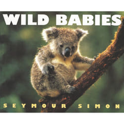 ISBN Wild Babies livre