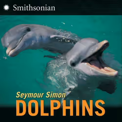 ISBN Dolphins, Livre broché, 32 pages