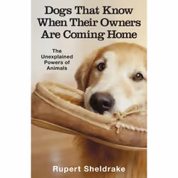 ISBN Dogs That Know When Their Owners Are Coming Home, Anglais, Livre broché, 320 pages