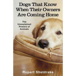 ISBN Dogs That Know When Their Owners Are Coming Home
