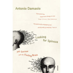 ISBN Looking For Spinoza