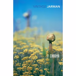 ISBN Chroma, Anglais, Livre broché, 144 pages