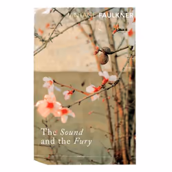 ISBN The Sound and the Fury, Anglais, Livre broché, 288 pages