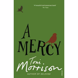 ISBN A Mercy, Anglais, Livre broché, 176 pages