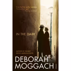 ISBN In the Dark, Anglais, Livre broché, 320 pages