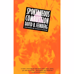 ISBN Spontaneous Combustion, Anglais, Livre broché, 240 pages