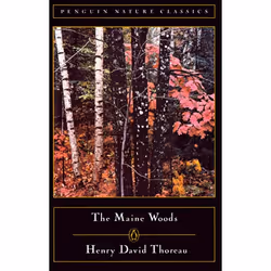 ISBN The Maine Woods, classiques, Anglais, Livre broché, 480 pages