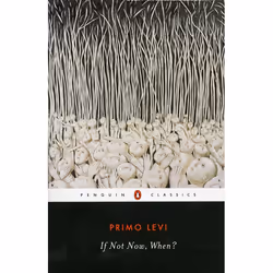 ISBN If Not Now, When?, classiques, Anglais, Livre broché, 352 pages
