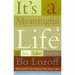 ISBN It’s a Meaningful Life, Livre broché, 304 pages