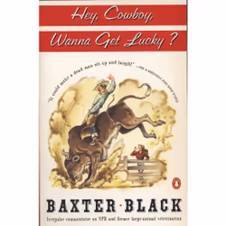 ISBN Hey Cowboy, Wanna Get Lucky?, Anglais, Livre broché, 240 pages