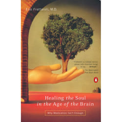 ISBN Healing the Soul in the Age of the Brain livre Livre broché 464 pages