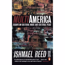 ISBN Multiamerica, Livre broché, 496 pages
