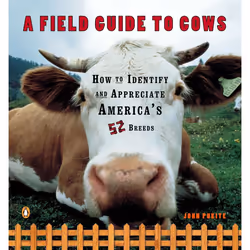 ISBN A Field Guide to Cows, Livre broché, 144 pages