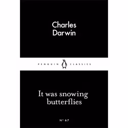 ISBN It Was Snowing Butterflies, Anglais, Livre broché, 64 pages