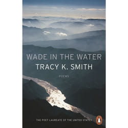 ISBN Wade in the Water