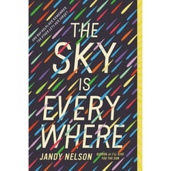 ISBN The Sky Is Everywhere livre
