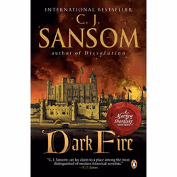 ISBN Dark Fire, Mystère et suspense, Anglais, Livre broché, 528 pages