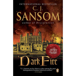 ISBN Dark Fire livre Mystère et suspense Anglais