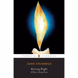 ISBN Burning Bright, classiques, Anglais, Livre broché, 128 pages