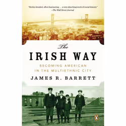 ISBN The Irish Way, Livre broché, 400 pages