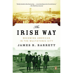ISBN The Irish Way livre