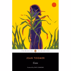 ISBN Cane, poésie, Anglais, 272 pages