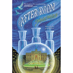 ISBN The After-Room, Anglais, Livre broché, 448 pages