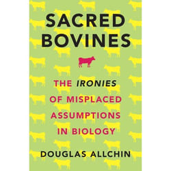 Sacred Bovines