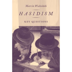 Hasidism : Key Questions - [Version Originale]