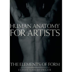 Human Anatomy for Artists