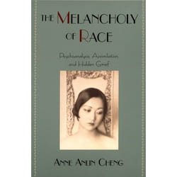 The Melancholy of Race, Race and American Culture