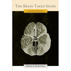 THE BRAIN TAKES SHAPE