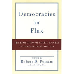 Democracies in Flux