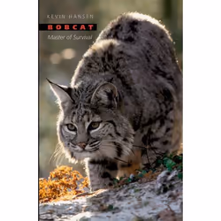 ISBN Bobcat ( Master of Survival ), Kevin Hansen, Anglais, Oxford University Press, 21/12/2006, unisexe, 1 pièce(s)