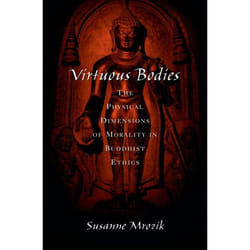 Virtuous Bodies, Aar Cultural Criticism Series