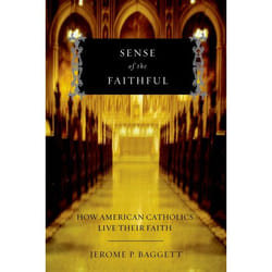 ISBN Sense of the Faithful ( How American Catholics Live Their Faith )