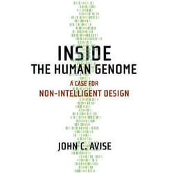 Inside the Human Genome
