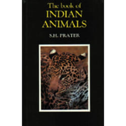 The Book of Indian Animals