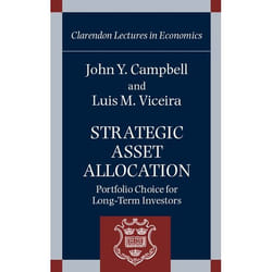 Strategic Asset Allocation, Clarendon Lectures in Economics