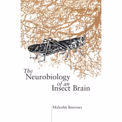 ISBN The Neurobiology of an Insect Brain, Malcolm Burrows, unisexe, Oxford University Press, 26/09/1996, 1 pièce(s)