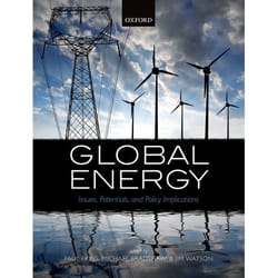 Global Energy: Issues, Potentials, and Policy Implications - [Version Originale]