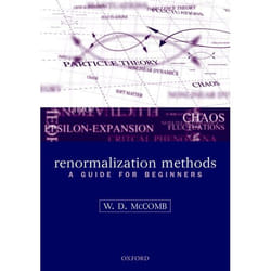 Renormalization Methods