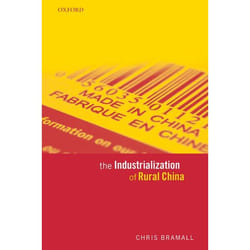 The Industrialization of Rural China