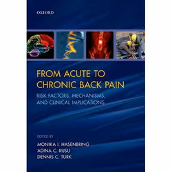 ISBN From Acute to Chronic Back Pain ( Risk Factors Mechanisms and Clinical Implications ), Monika I. Hasenbring, Adina C. Ru ...