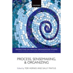 ISBN Process Sensemaking and Organizing Couverture rigide