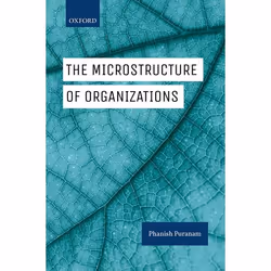 ISBN The Microstructure of Organizations, Anglais, Couverture rigide, 224 pages