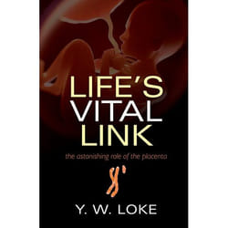 Life's Vital Link: The astonishing role of the placenta - [Version Originale]
