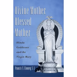 ISBN Divine Mother Blessed Mother ( Hindu Goddesses and the Virgin Mary ), Anglais, Couverture rigide, 288 pages